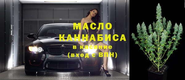 шишки Лабытнанги