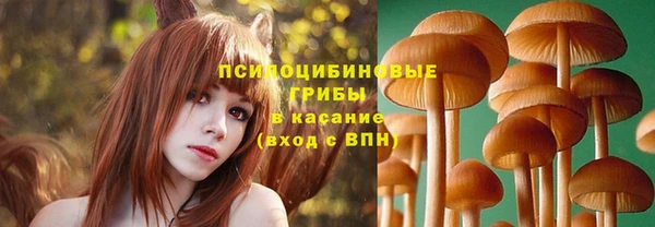 шишки Лабытнанги