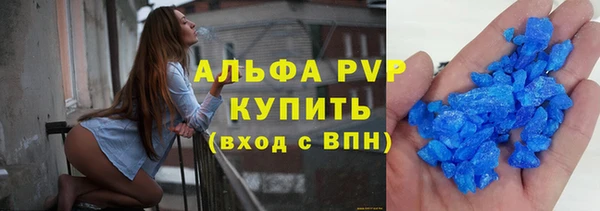 прущие грибы Ладушкин