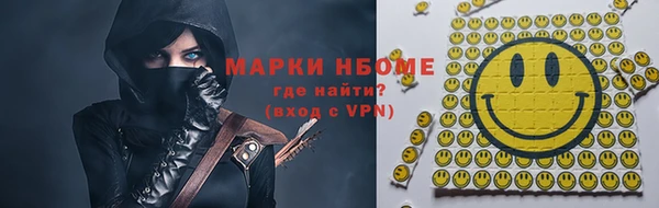 шишки Лабытнанги