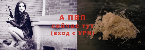 прущие грибы Ладушкин