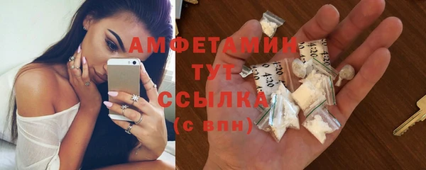 прущие грибы Ладушкин