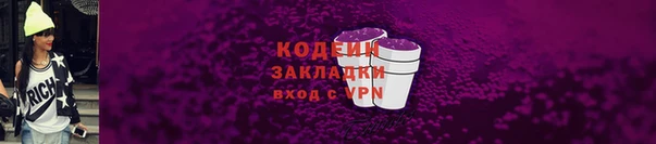 шишки Лабытнанги