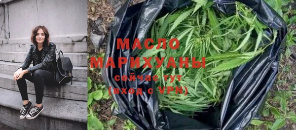шишки Лабытнанги