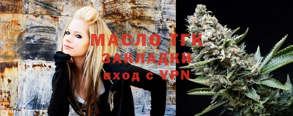 шишки Лабытнанги