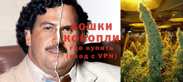 шишки Лабытнанги