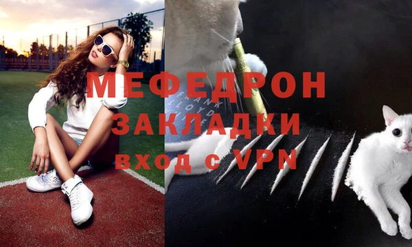 шишки Лабытнанги