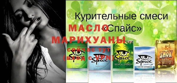 шишки Лабытнанги