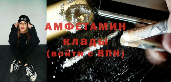 прущие грибы Ладушкин