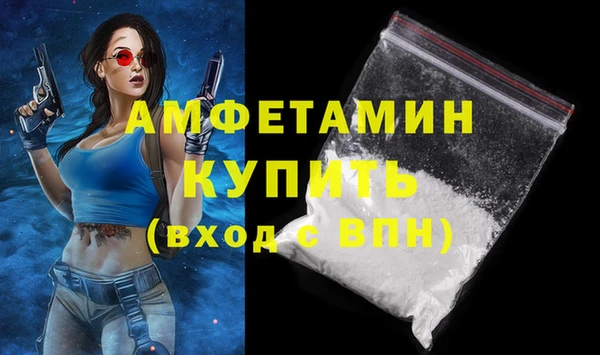 шишки Лабытнанги