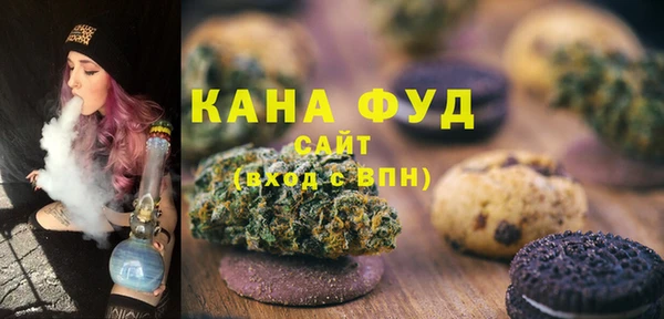 шишки Лабытнанги