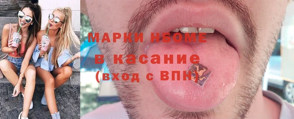 шишки Лабытнанги