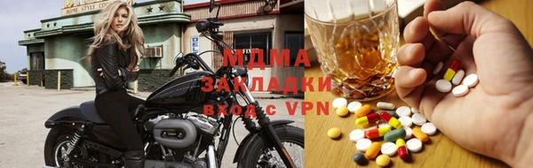 шишки Лабытнанги