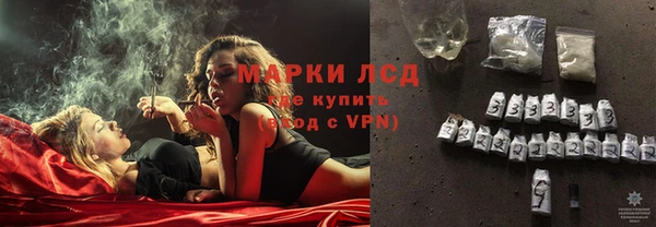 прущие грибы Ладушкин