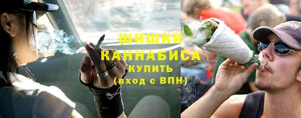 шишки Лабытнанги