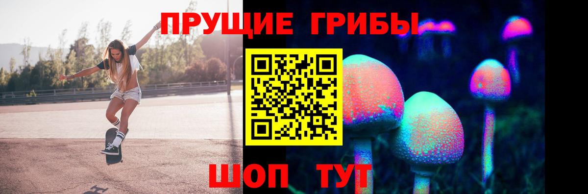 что такое   Галлюциногенные грибы Psilocybe  Вход с VPN  Южно-Сахалинск 